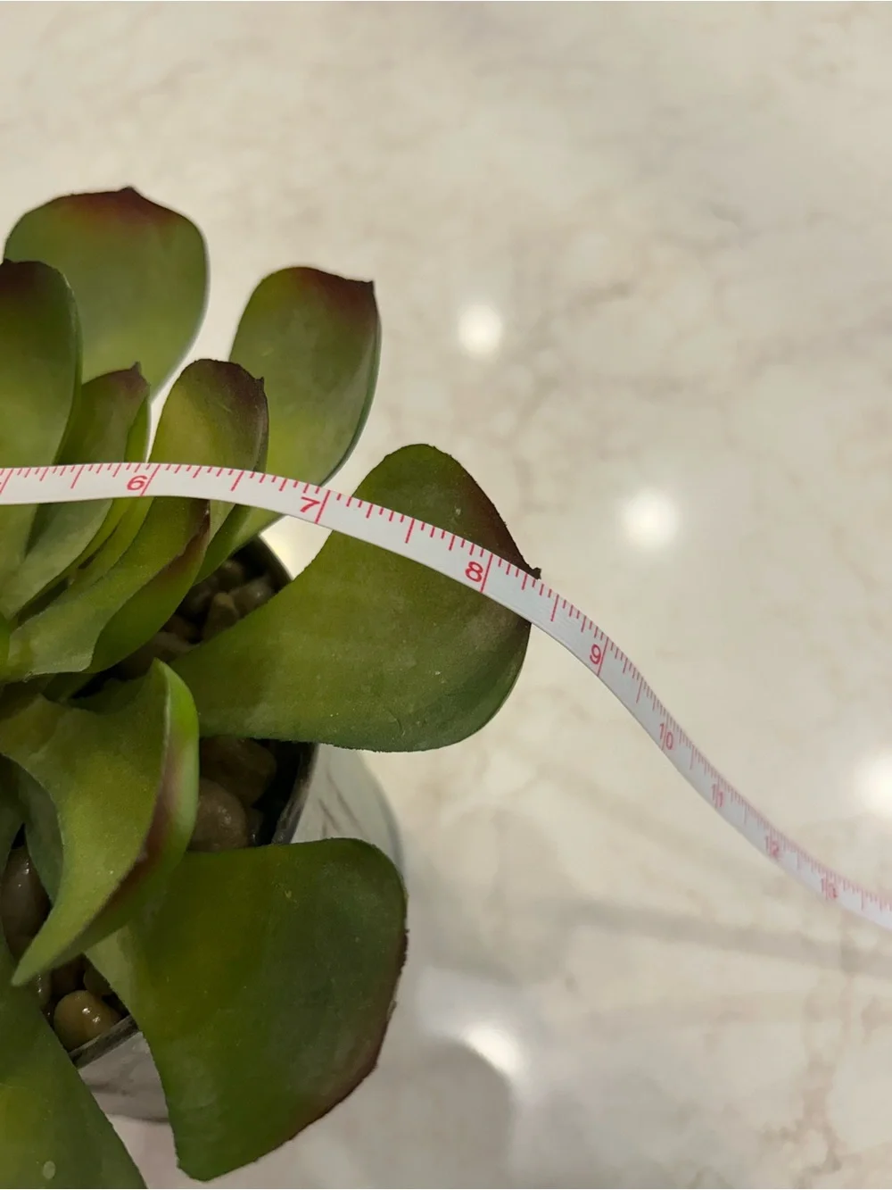 New Kirklands Green Succulent with Red-Tipped Leaves in Metal Pot